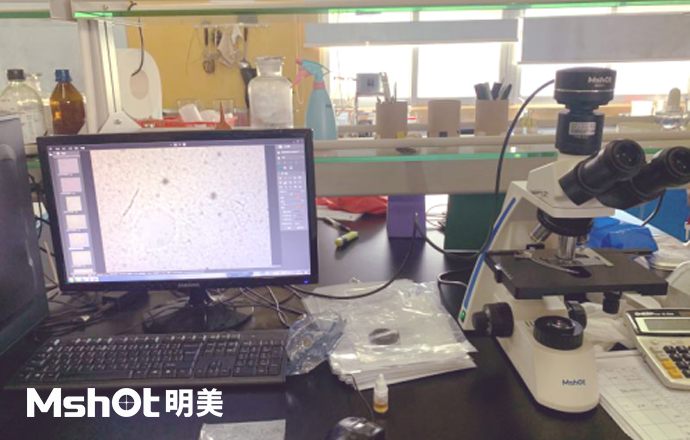 生物顯微鏡ML31