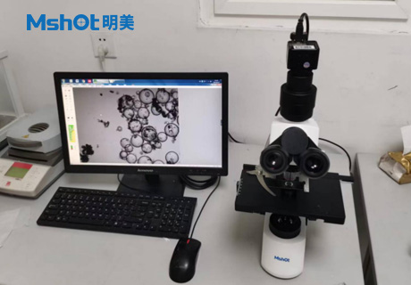 石墨烯用什么顯微鏡觀察？