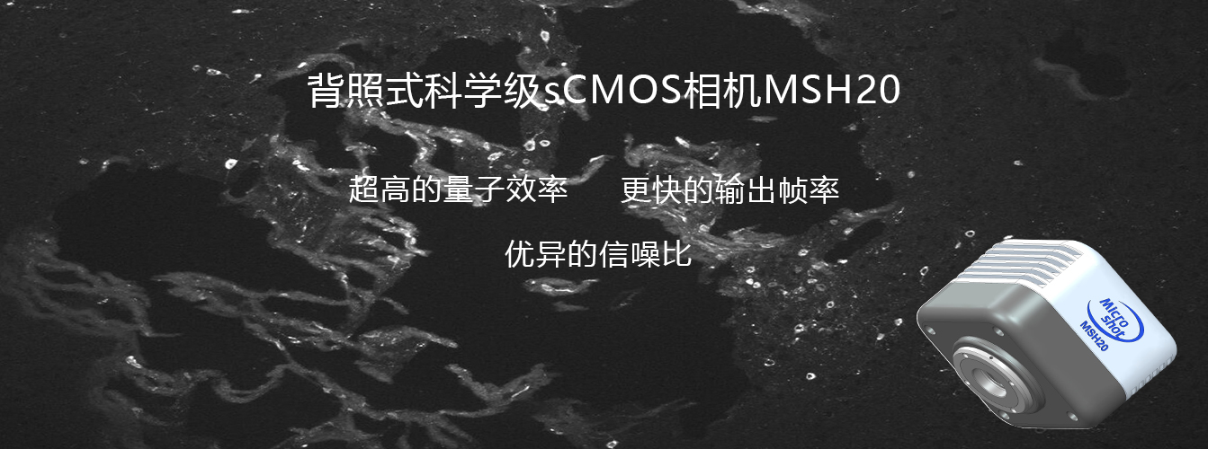 背照式sCMOS相機