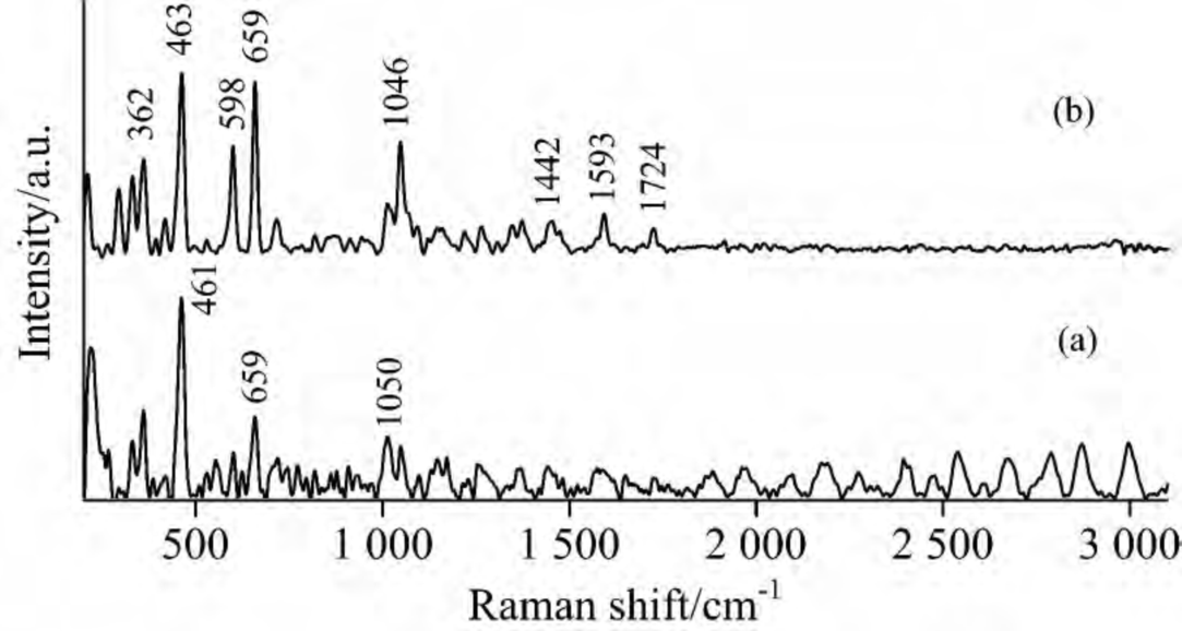 拉曼光譜的應(yīng)用