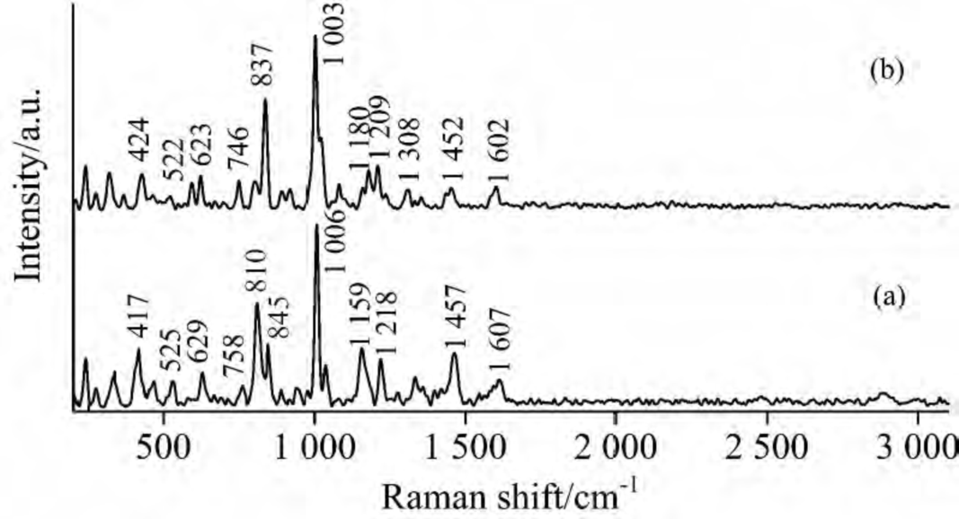 拉曼光譜的應(yīng)用